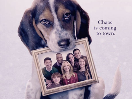 犬の映画 ワン クリスマスイブ 楽しい犬のクリスマス映画を見ました Koperi チワワのコペリ